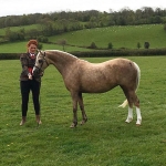 Cadlanvalley Golden Serenade Cadlanvalley Golden Serenade