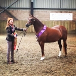 Northlight Coppellia Northlight Coppellia