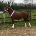 Ringside Kiss For Keeps Ringside Kiss For Keeps