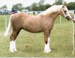 Royal Windsor Royal Windsor