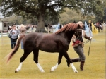Usk Show Usk Show