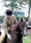 Royal Norfolk show Royal Norfolk show