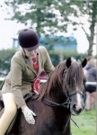 Royal Norfolk show